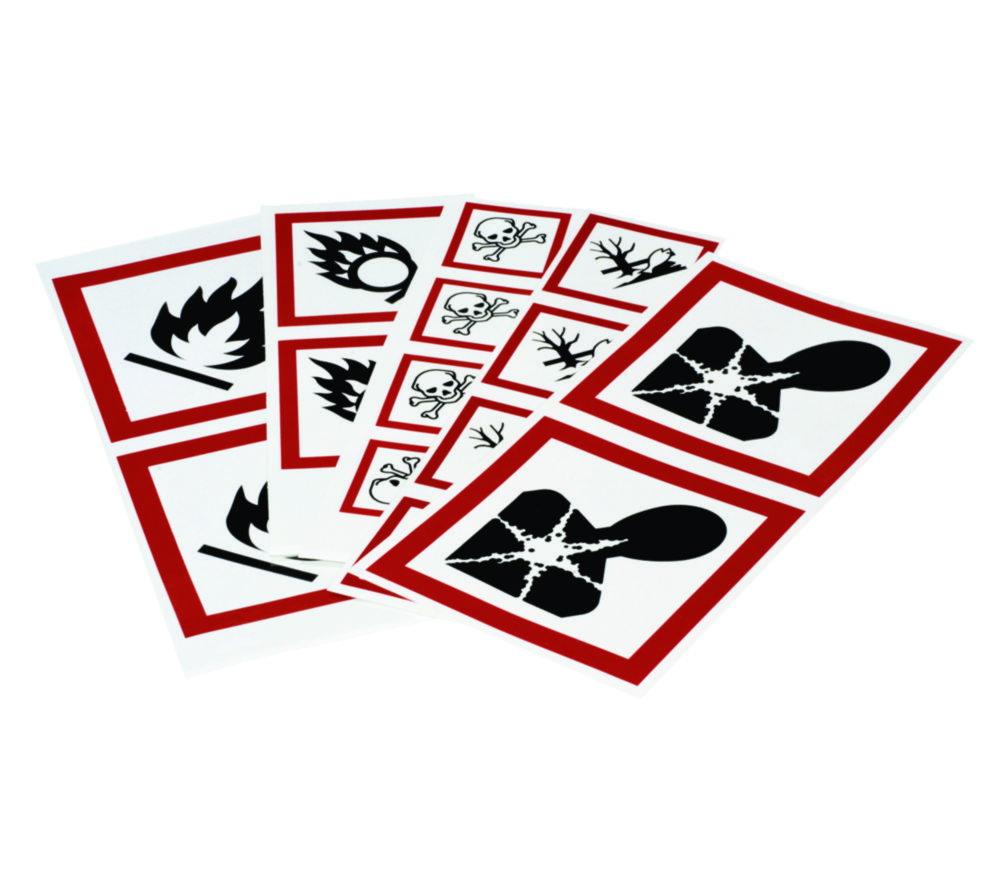 Brady GHS Symbol Long-Term Hazardousness bis Health 40x40 mm Card (Packung mit 20)
